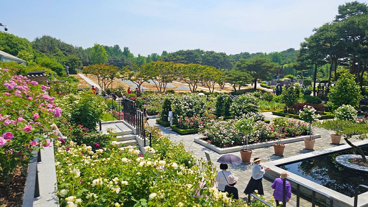 한국도로공사 전주수목원 봄꽃