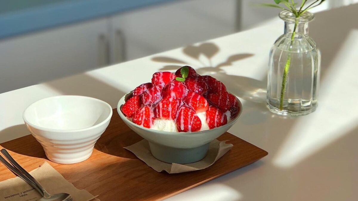 담장옆에국화꽃 안녕인사동 빙수