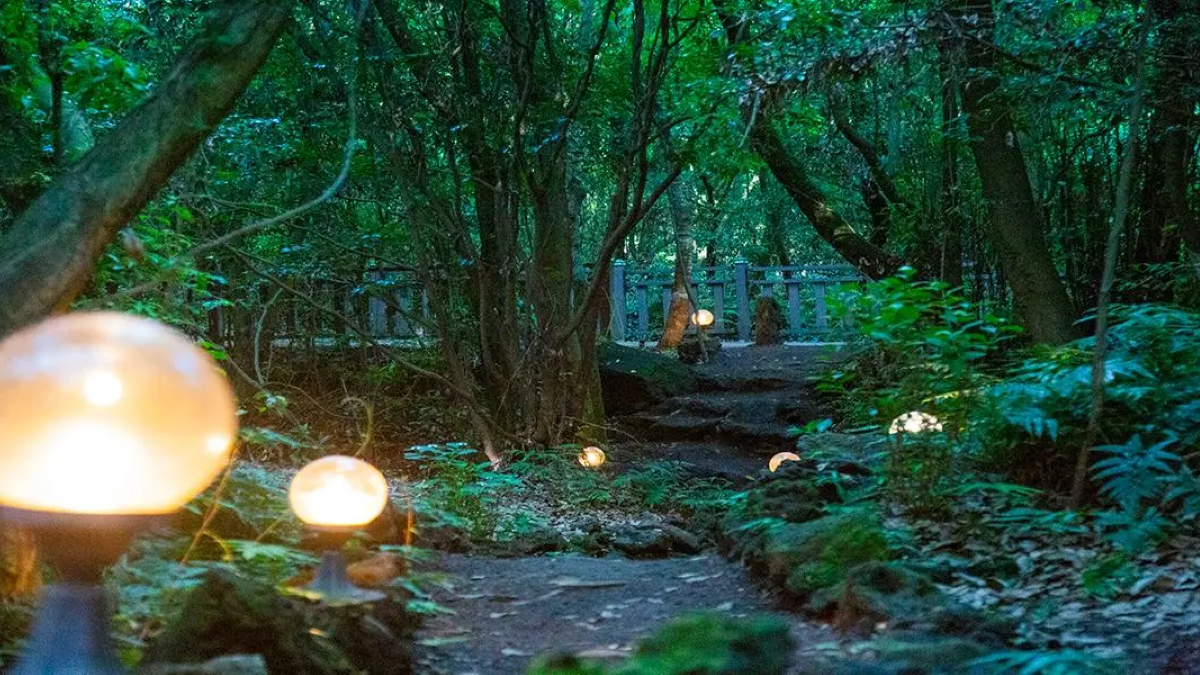 제주 산양큰엉곶 탐방 코스 제주 야경 명소