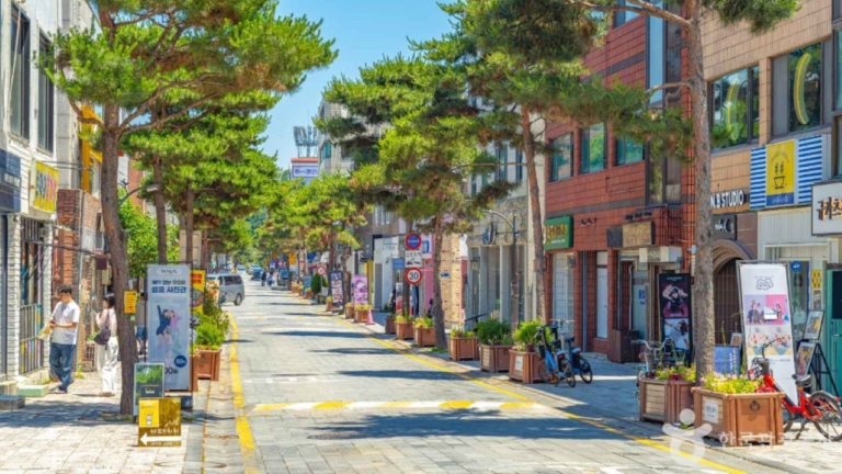 행리단길 카페 다음 코스 4곳, 수원 데이트하기 좋은 산책 코스는