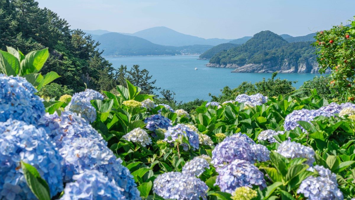 거제 외도 보타니아 거제 가볼만한 곳 거제 여행