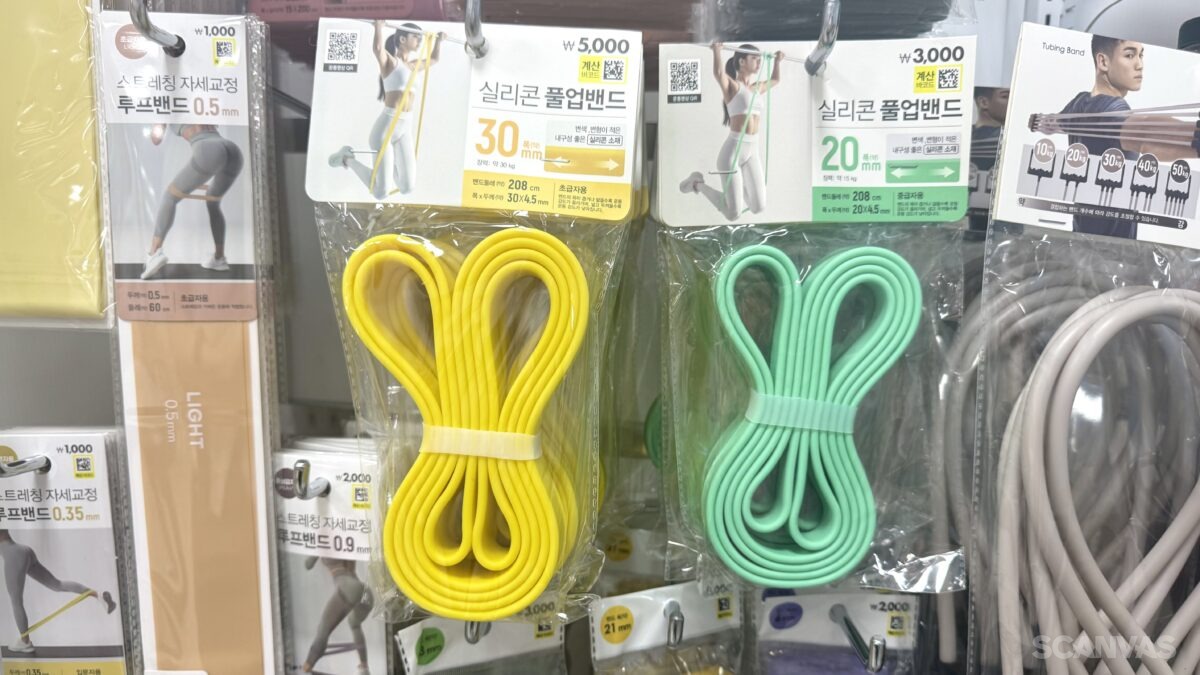 다이소 풀업 밴드