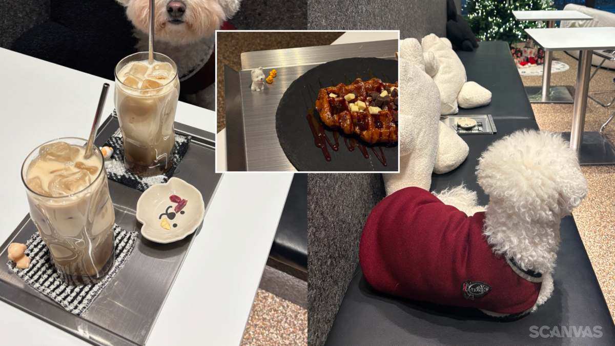 하남 애견동반카페 히든오아시스 크로플 히든라떼 소파 좌석 분위기