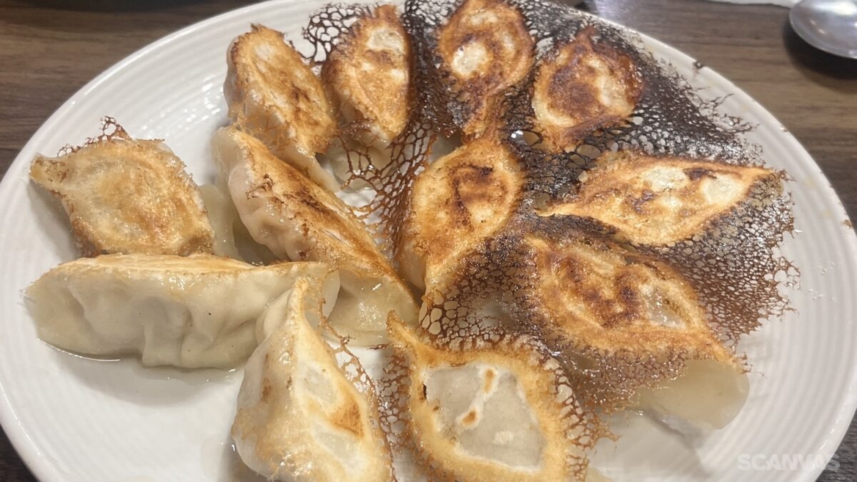 수원 행궁동 맛집 연밀 중국식 고기만두 새우만두
